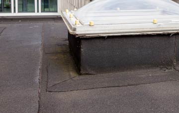 disadvantages of Standford Bridge flat roofs